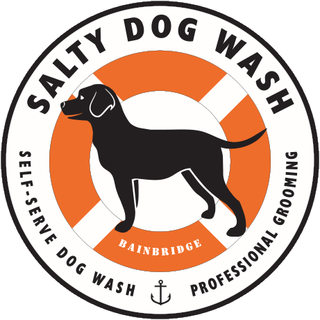 Salty Dog Wash