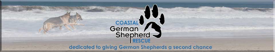 Coastal German Shepard Rescue - Pet Partners